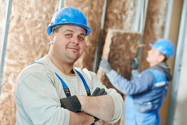 Best Attic Insulation Installation  in Pahrump, NV